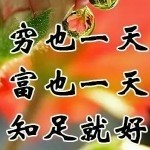 兰花草zs海报