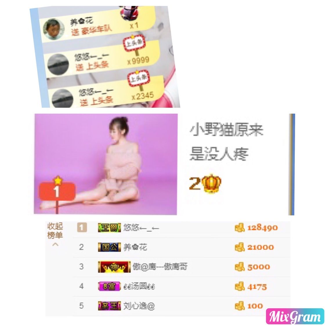 野貓，還是小野貓的主播照片