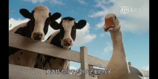 果果(平安好运)的图片