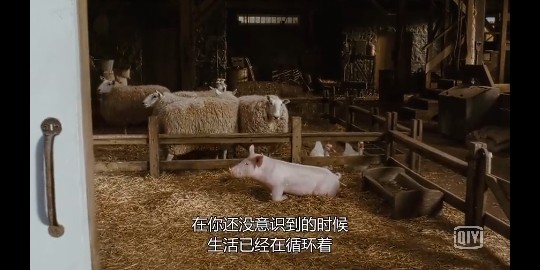 果果(平安好运)的图片