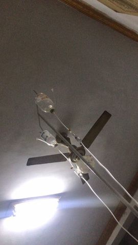 tui网了主播照片