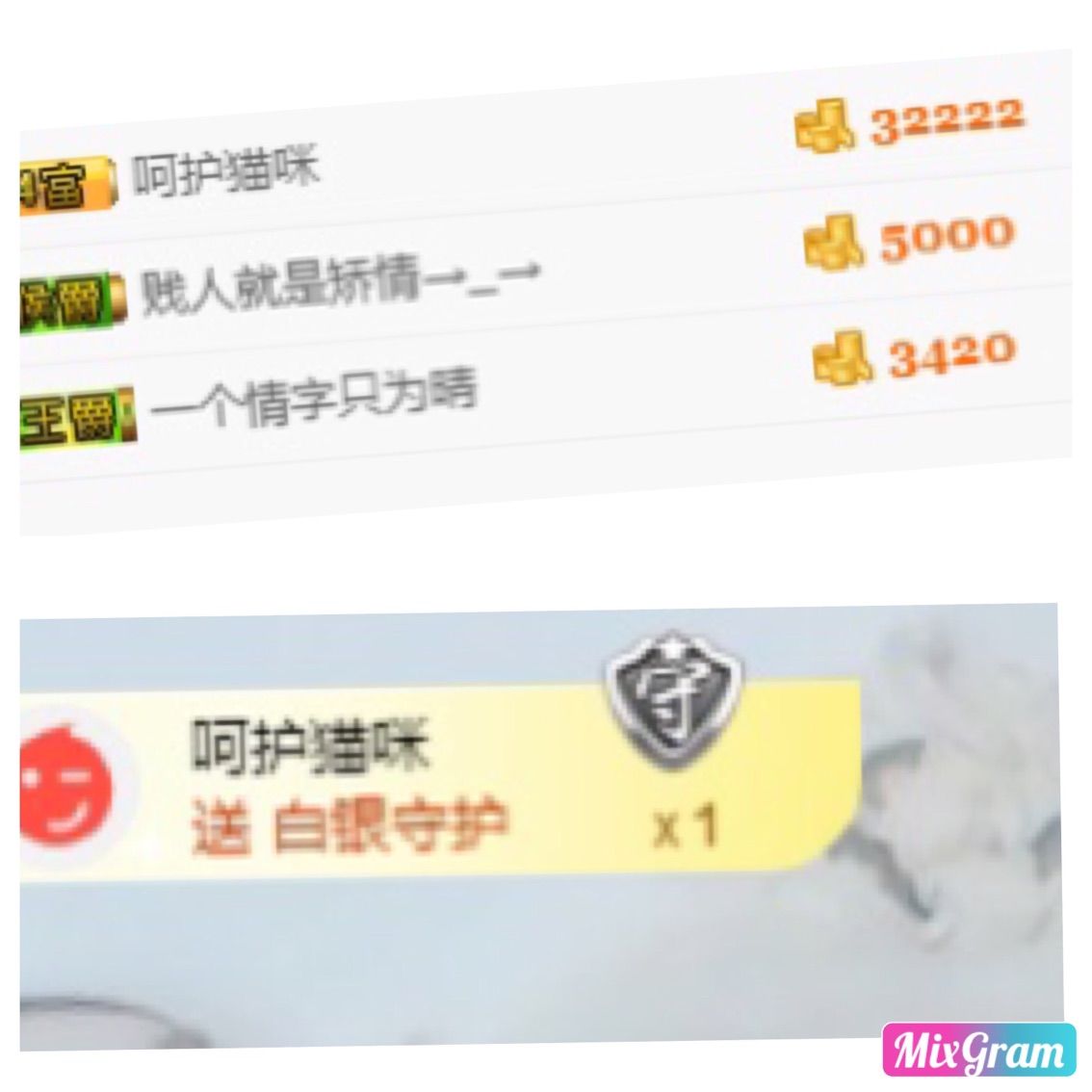 野貓，還是小野貓的主播照片