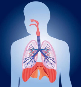 健康大财富主播照片