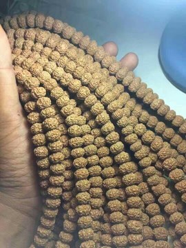 成都酒神哥主播照片