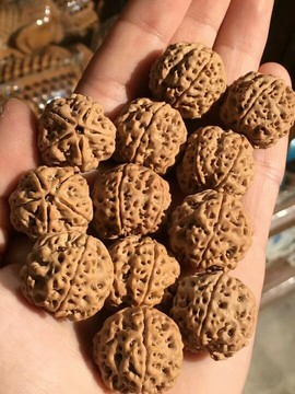 成都酒神哥主播照片