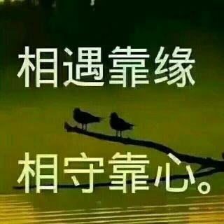 爱你😇🐮開伈🌷的主播照片