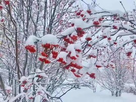 行中国观风景主播照片