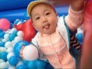 张中陶