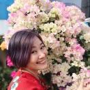 蝴蝶菲菲3