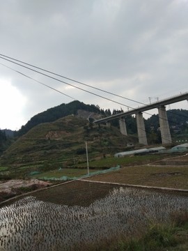 洪一，主播照片
