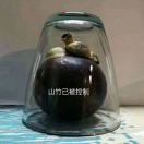 小小的太阳!2