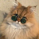 嘻歪大人