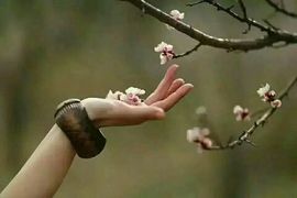 梦锁清秋～主播照片