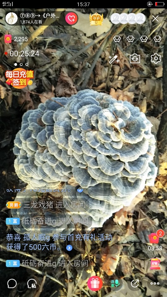 钓便江湖的主播照片