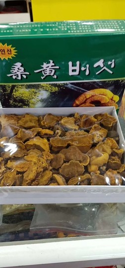 俏不争春，今晚休息主播照片