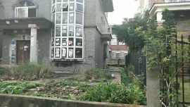 逍遥快活的人主播照片