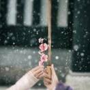 メ雨辰ゞヤ*zk的头像