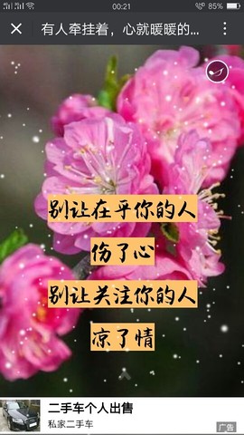 @脸皮厚的三少爷🎶主播照片