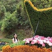 打酱油的小虫