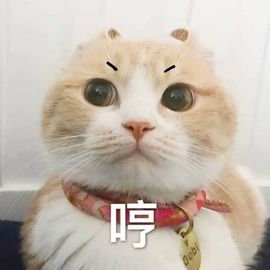 情敌太多不方便要昵称主播照片