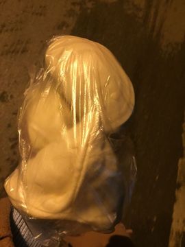 狐狸讨米去了主播照片