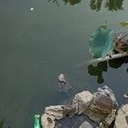 睡倒青山主播照片
