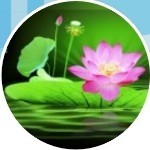 前卫小青年-海报