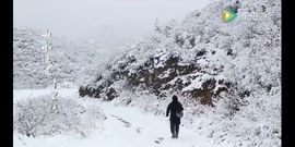 傲世英雄6主播照片