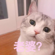 大黄！