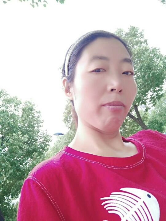 胡杨风中等：雁的主播照片