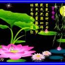 云宗d