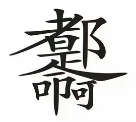 ！！渣渣肆主播照片