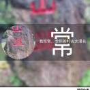 约定ry