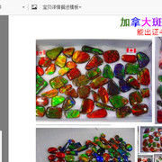 斑彩我最牛