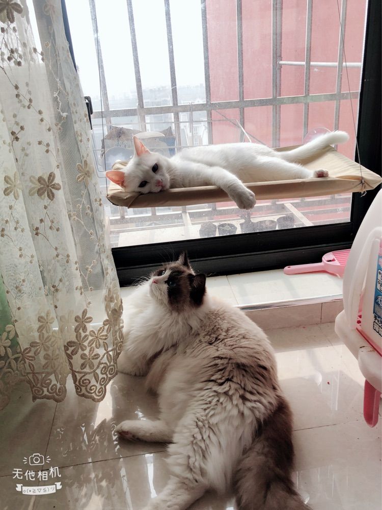 Lilly莉莉呀的主播照片