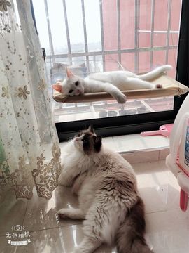 Lilly莉莉呀主播照片