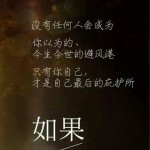 花落了💔💔💔海报