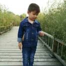 A落叶*海报