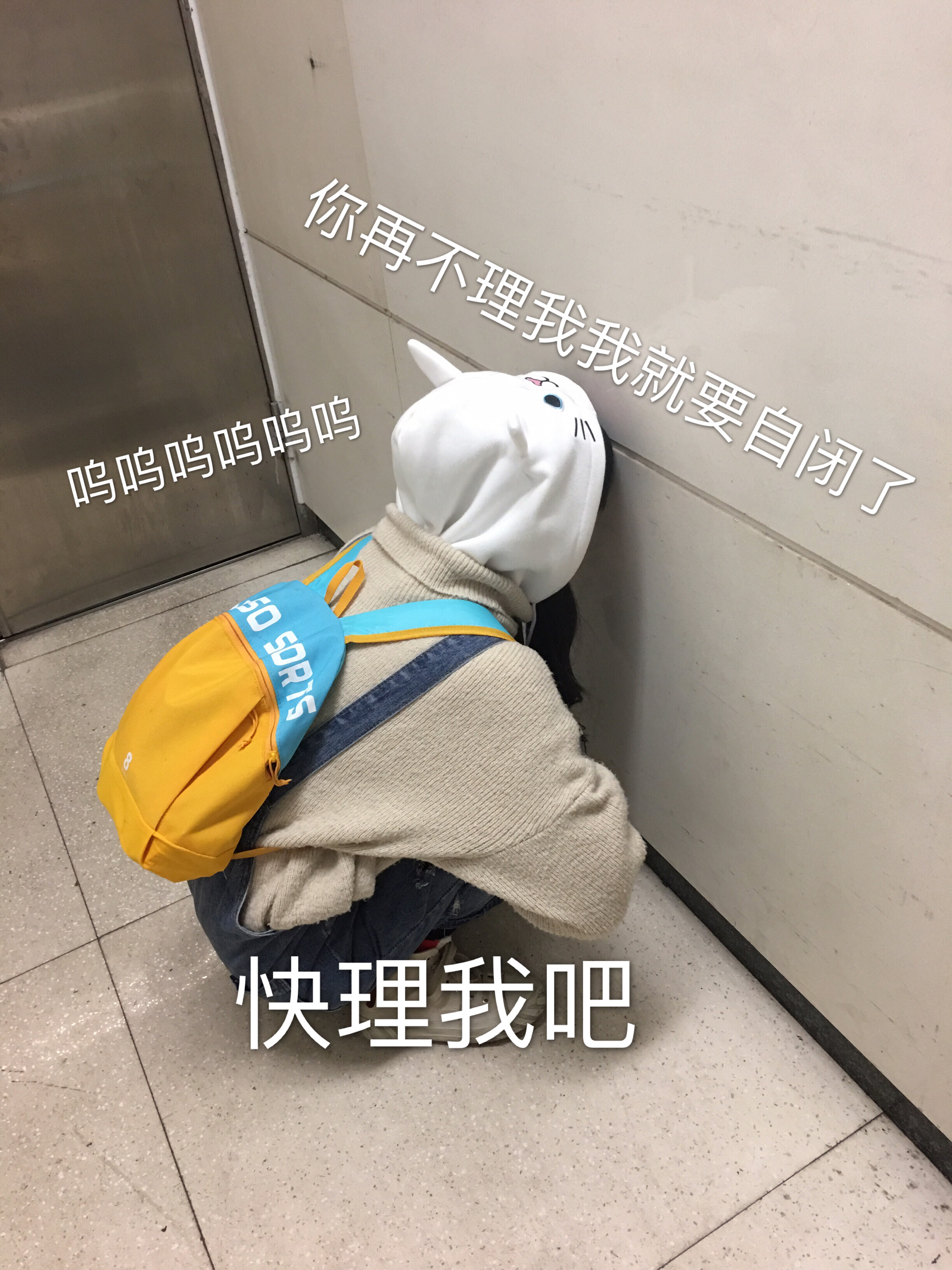崽崽是大哥的主播照片