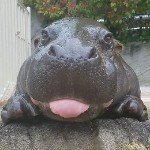 相伴盼日出