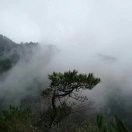 阿银l