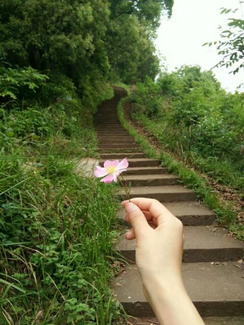 斯黛娜&护肤的主播照片