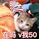 相融d