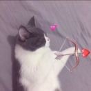 烟花三月、💋