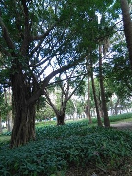 昵称违规，请重新修改主播照片