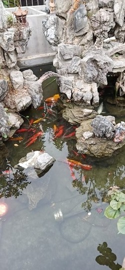 ♬默默✨小蛮宝☞🌜主播照片