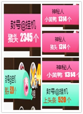 故乡111主播照片