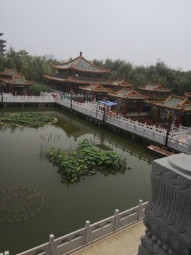 🌟瞎串串主播照片