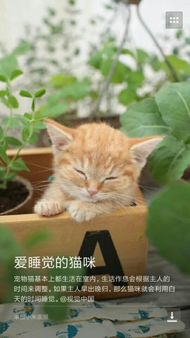 Dput小听的弟弟主播照片