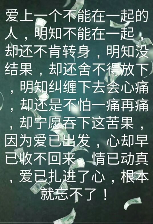 露萍萍的主播照片